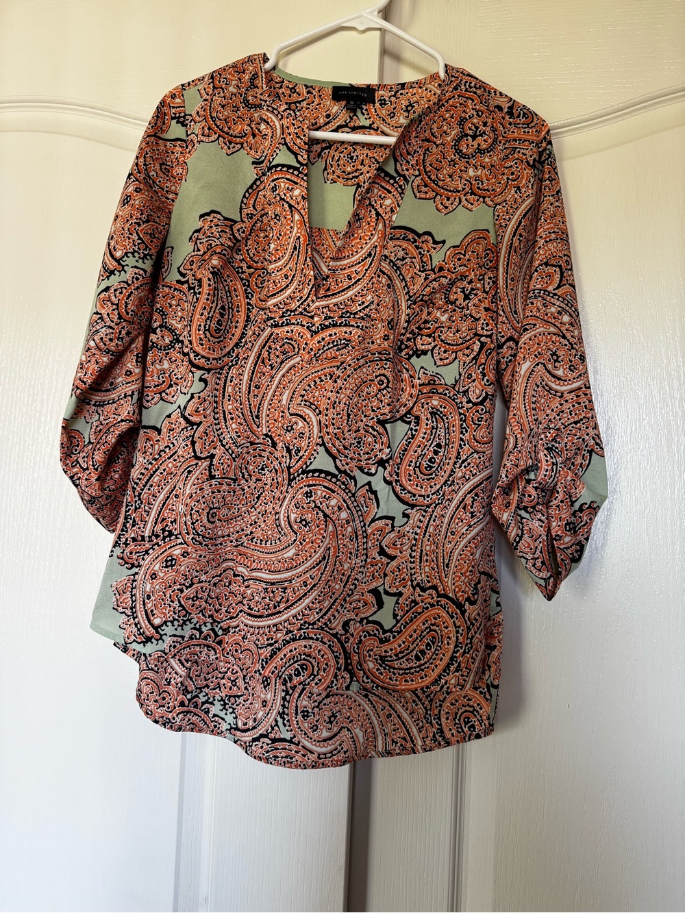 The Limited Coral Paisley V-Neck Blouse on Sage